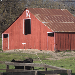 Small-farm red barn